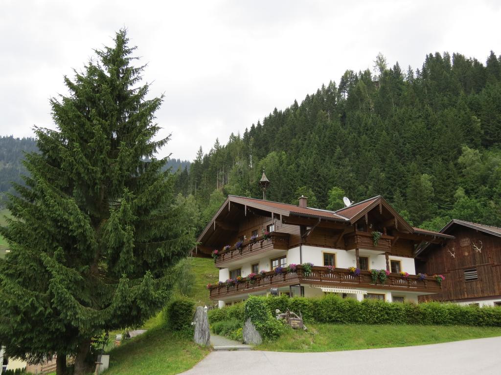 Landhaus Dorfer Grossarl Pokoj fotografie